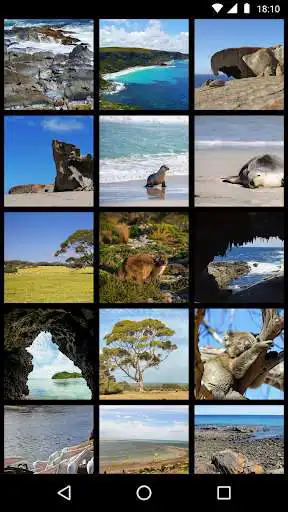 Play Kangaroo Island Travel Guide as an online game Kangaroo Island Travel Guide with UptoPlay