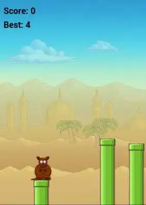 Play kangaroo jump as an online game kangaroo jump with UptoPlay