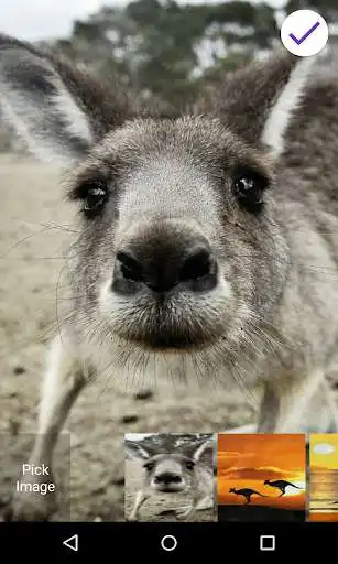 Play Kangaroo Lock Screen  and enjoy Kangaroo Lock Screen with UptoPlay