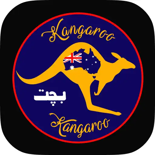 Play Kangaroo rideshare service APK