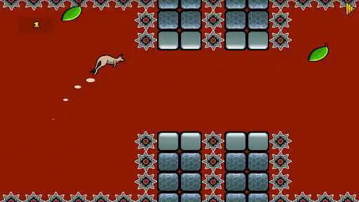 Play KangaROOS  and enjoy KangaROOS with UptoPlay