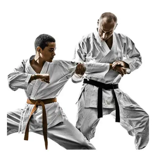 Play Karate Guide APK Play Karate Guide APK