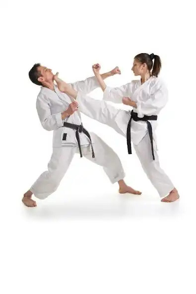 Play Karate Guide  and enjoy Karate Guide with UptoPlay
