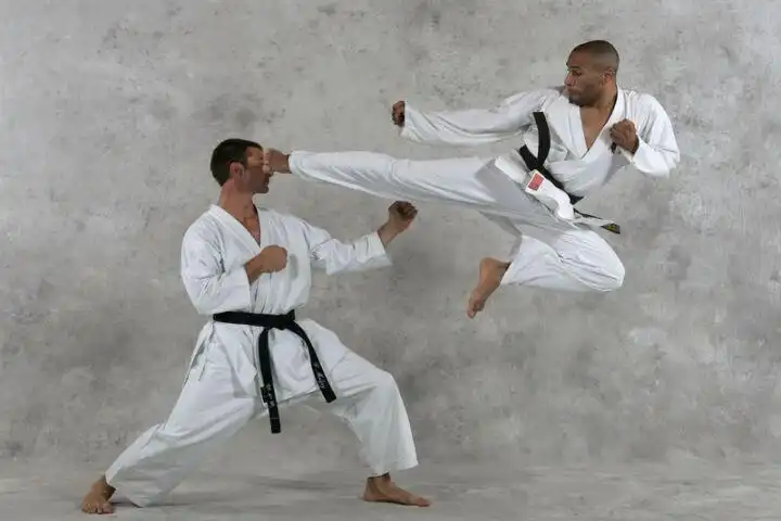 Play Karate Guide as an online game Karate Guide with UptoPlay