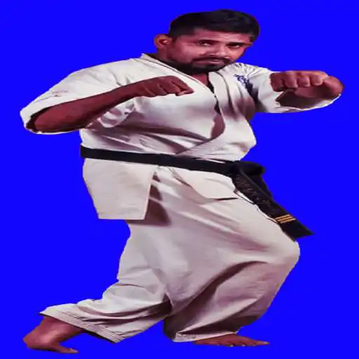 Play Karate Kyokushin APK