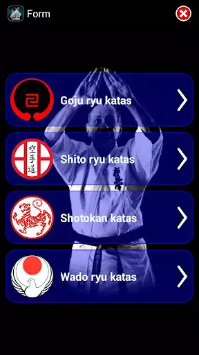 Play Karate WKF
