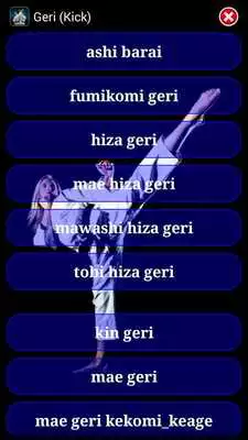 Play Karate WKF