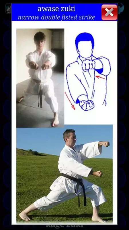 Play Karate WKF
