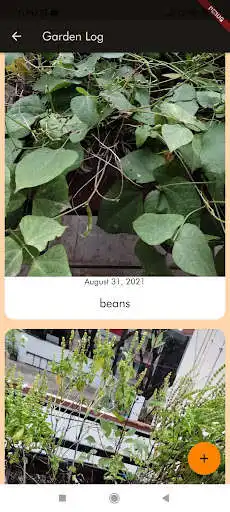 Play Karat Farms - Plant Care as an online game Karat Farms - Plant Care with UptoPlay