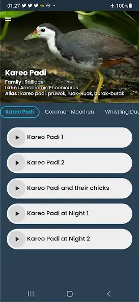 Play Kareo Padi Sounds as an online game Kareo Padi Sounds with UptoPlay