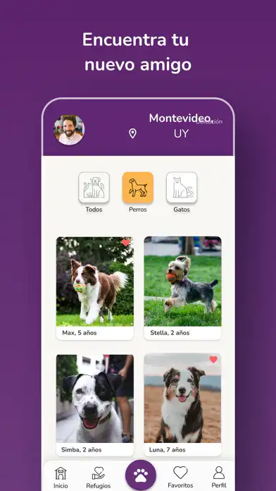 Play KatDog as an online game KatDog with UptoPlay