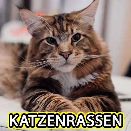 Play Katzenrassen APK Play Katzenrassen APK
