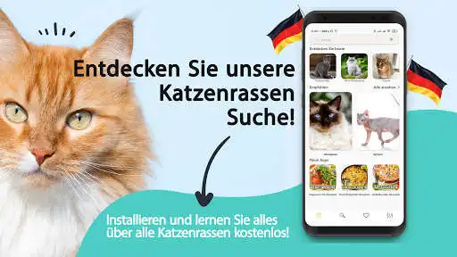 Play Katzenrassen  and enjoy Katzenrassen with UptoPlay