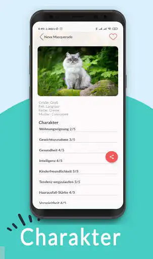 Play Katzenrassen as an online game Katzenrassen with UptoPlay