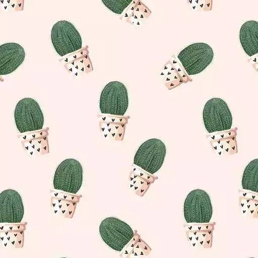 Play Kawaii Cactus Wallpaper APK Play Kawaii Cactus Wallpaper APK