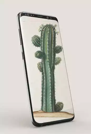 Play Kawaii Cactus Wallpaper as an online game Kawaii Cactus Wallpaper with UptoPlay