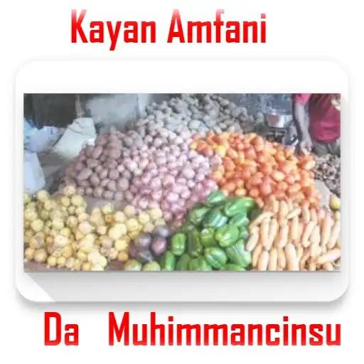 Play Kayan Amfani Da Muhimmancinsu APK