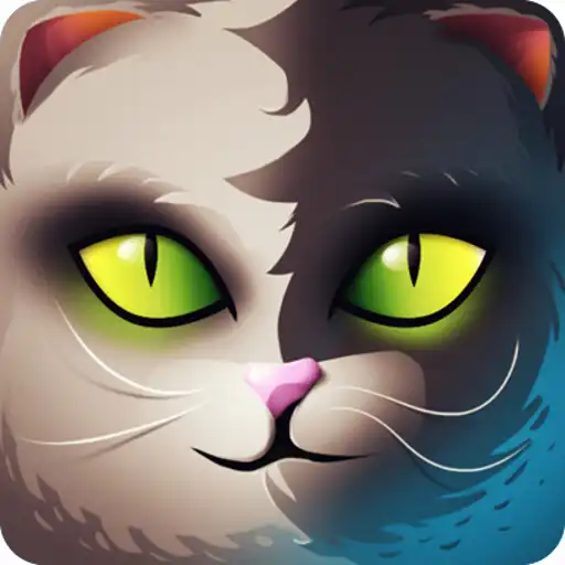 Play Kedi Cat APK