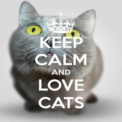 Play Keep Calm Love Cats Wallpapers APK Play Keep Calm Love Cats Wallpapers APK