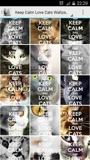 Play Keep Calm Love Cats Wallpapers  and enjoy Keep Calm Love Cats Wallpapers with UptoPlay