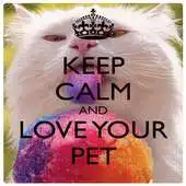 Free play online Keep calm Love Pet Wallpaper APK