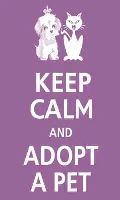Play Keep calm Love Pet Wallpaper