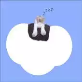 Free play online Keep Fit  Learn Chinese APK