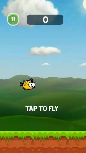 Play Keep Flying