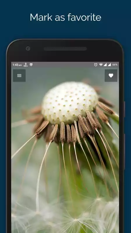 Play Keepwalls - HD Wallpapers