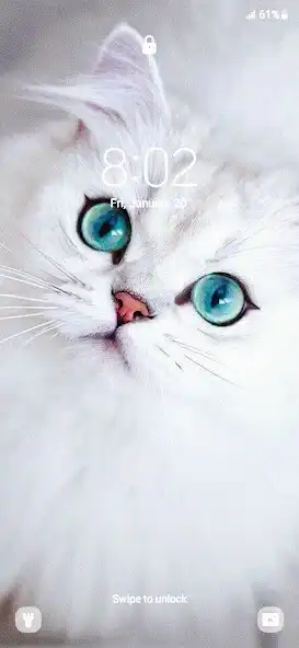 Play Keety - cat wallpaper as an online game Keety - cat wallpaper with UptoPlay