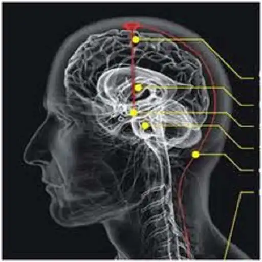 Play Kekuatan Diri Manusia APK