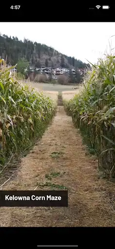 Play Kelowna10 as an online game Kelowna10 with UptoPlay