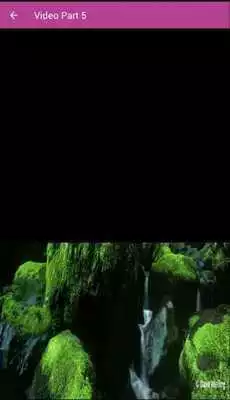 Play Kenari Gacor Ngeplong