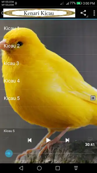 Play Kenari Kicau  and enjoy Kenari Kicau with UptoPlay