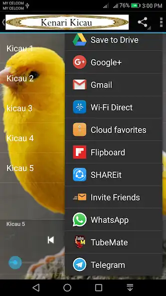 Play Kenari Kicau as an online game Kenari Kicau with UptoPlay