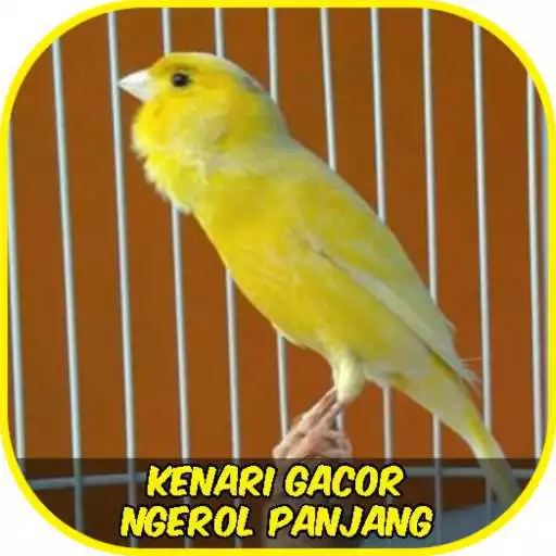 Run free android online Kenari Ngerol Panjang APK Run free android online Kenari Ngerol Panjang APK