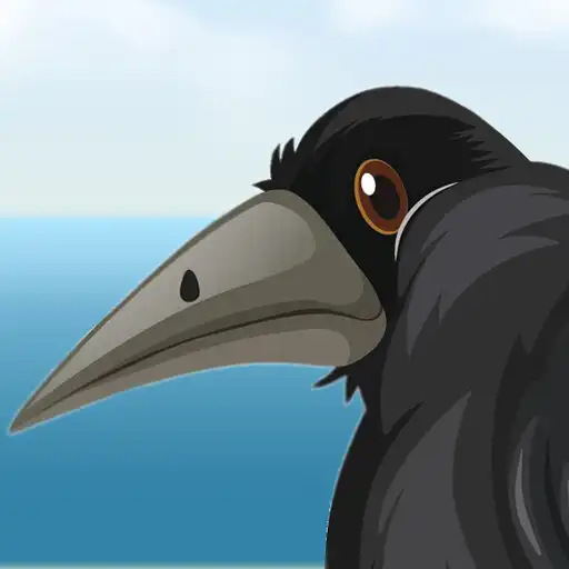 Play Kentucky Discard APK Play Kentucky Discard APK