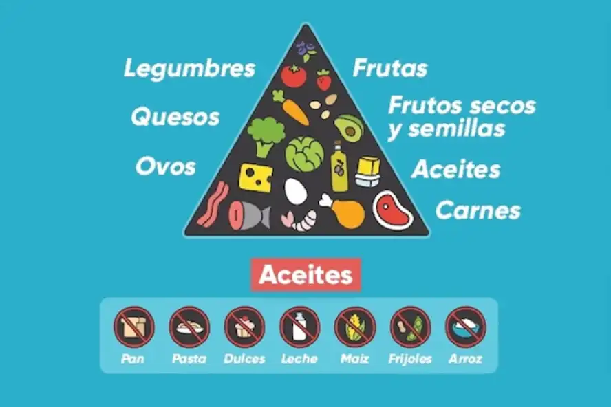Play Ketogenic Diet-Keto Diet as an online game Ketogenic Diet-Keto Diet with UptoPlay