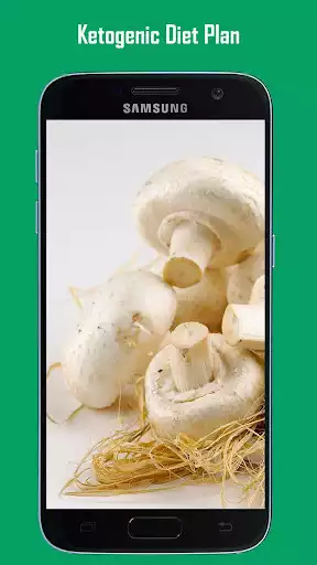 Play Ketogenic Diet  and enjoy Ketogenic Diet with UptoPlay