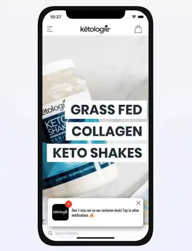 Play Ketologie as an online game Ketologie with UptoPlay