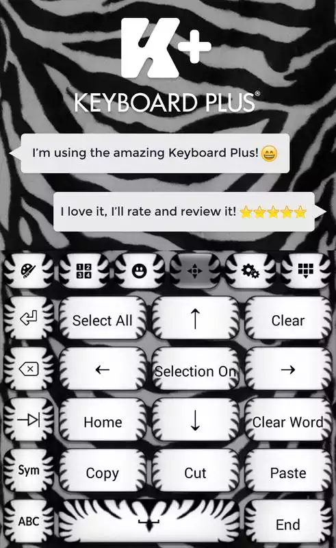 Play Keyboard Zebra