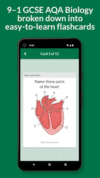 Play Key Cards GCSE AQA Biology  and enjoy Key Cards GCSE AQA Biology with UptoPlay