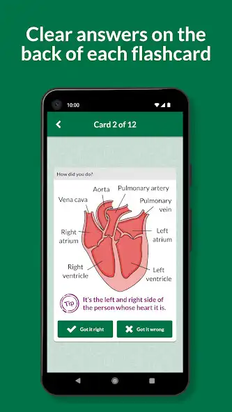Play Key Cards GCSE AQA Biology as an online game Key Cards GCSE AQA Biology with UptoPlay