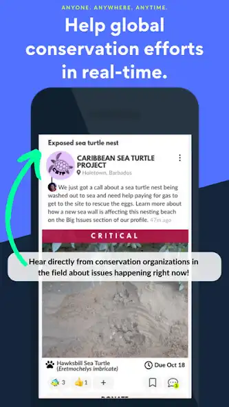 Play Key Conservation and enjoy Key Conservation with UptoPlay Play Key Conservation and enjoy Key Conservation with UptoPlay