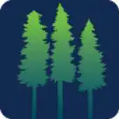 Free play online Keysym 16D4 APK