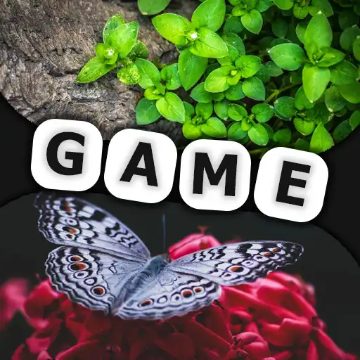 Play KG Logic - Turn on your logic APK