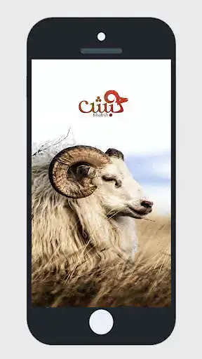 Play khabsh  and enjoy khabsh with UptoPlay