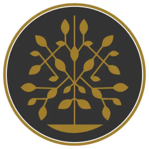 Play Khadi Natural APK