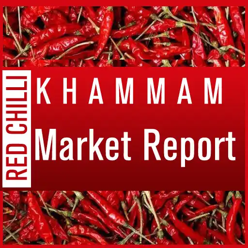 Play Khammam Chilli Market Report APK