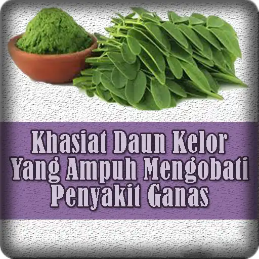 Play Khasiat Daun Kelor Asli Indonesia Untuk Pengobatan APK